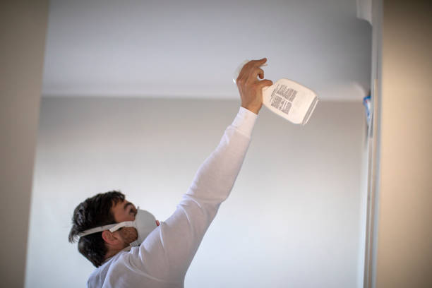 Best DIY Mold Remediation Support Services in Stillwater, OK