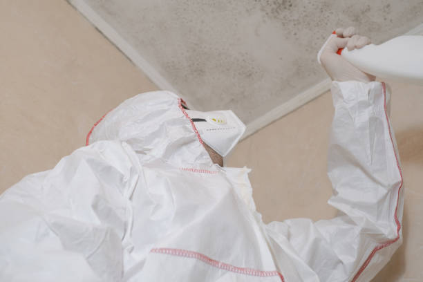 Best Insurance-Related Mold Remediation in Stillwater, OK