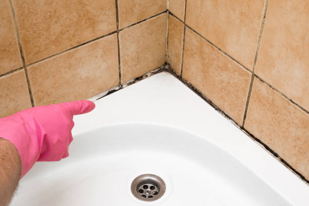 Best Localized Mold Remediation (e.g., coastal areas, humid climates) in Stillwater, OK